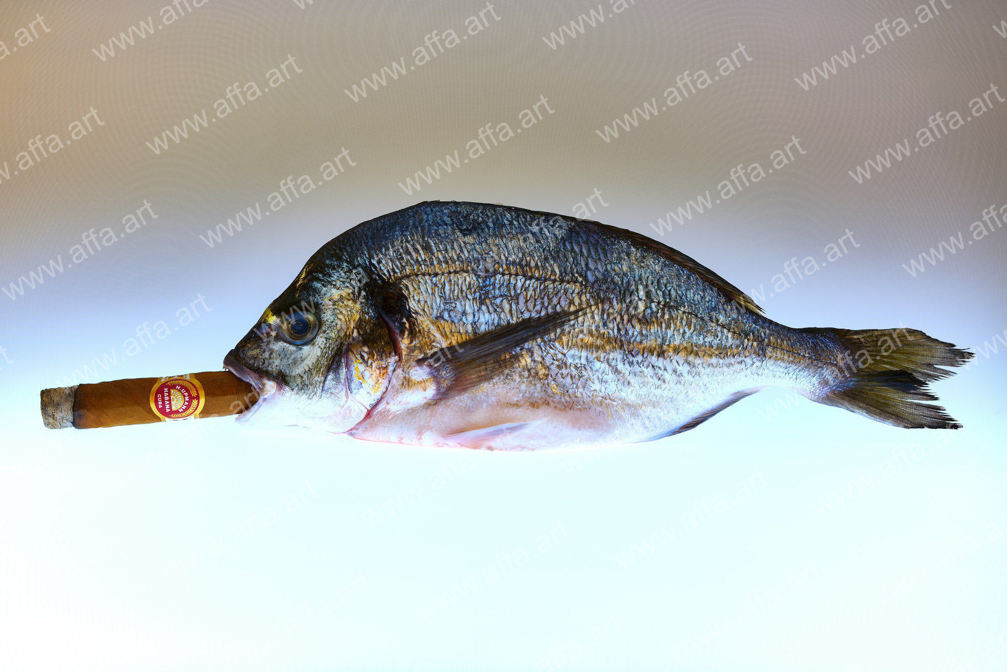 Fine Art PhotographyProduct: Fishin in CubaFine Art Photography